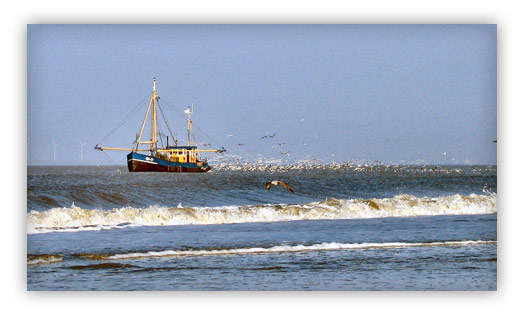 voordelta, fishing vessel